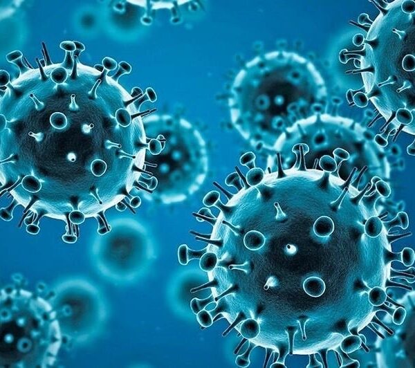 Q&A with ICHD: Where Do We Stand with COVID-19 and What Should We Be Doing?