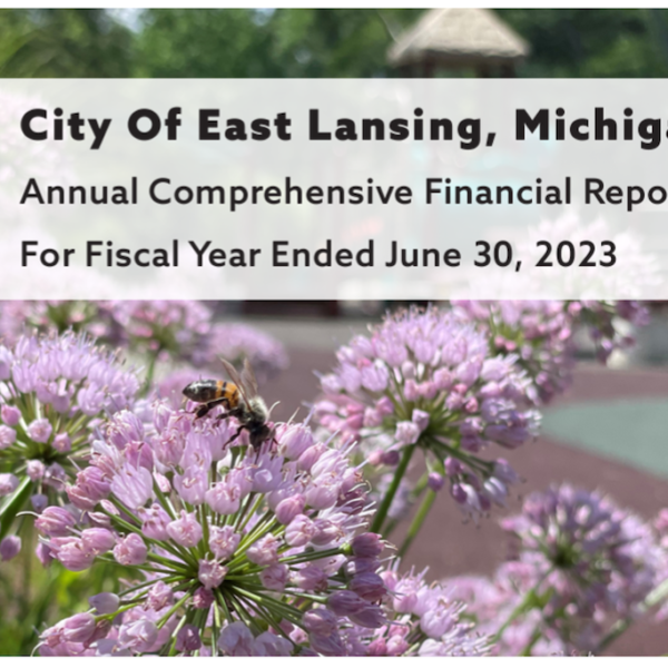 Council Takes a Long Look at Finances