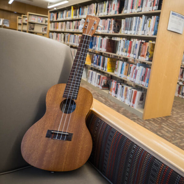 ELPL ‘Library of Things’ Has a Bit of Everything