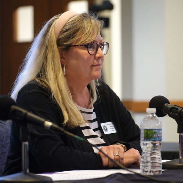 Filing Deadline Passes, Clerk Marie Wicks Presents on Two Upcoming Elections