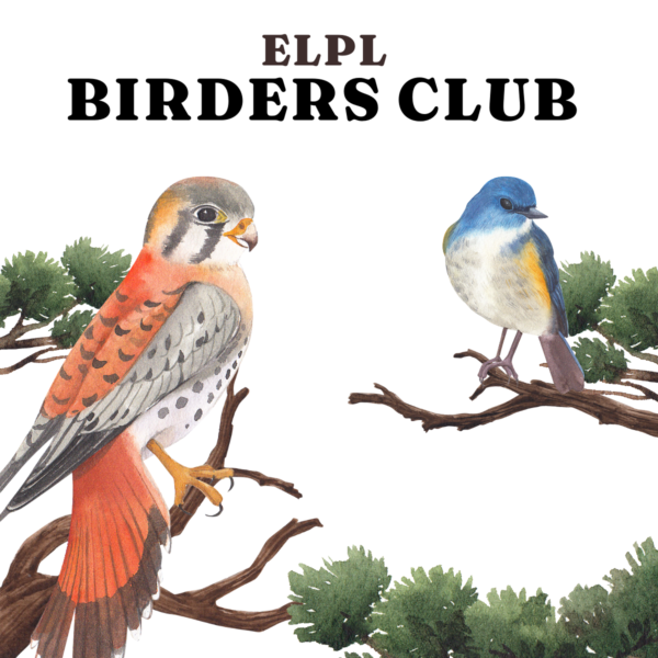 From Curious Beginners to Seasoned Spotters, East Lansing Birders Club Soars in Popularity