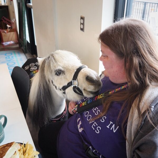 Miniature Service Horse Helps Area Woman Overcome Anxiety and Educate the Public