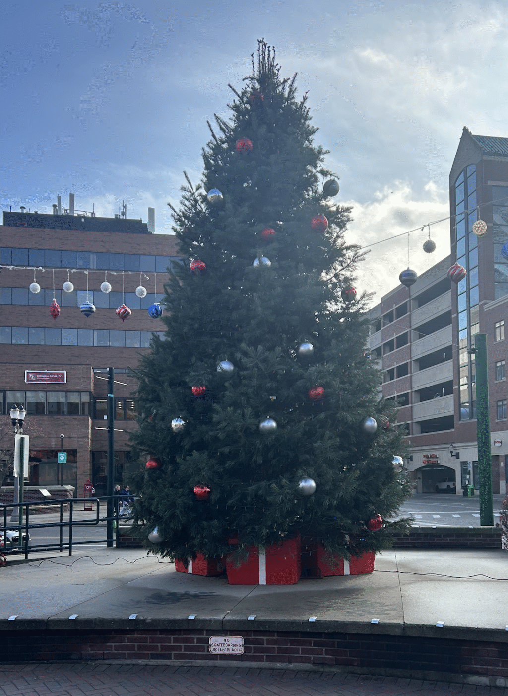 East Lansing to Kick Off Holiday Season with Tree Lighting