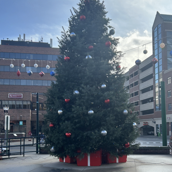 East Lansing to Kick Off Holiday Season with Tree Lighting