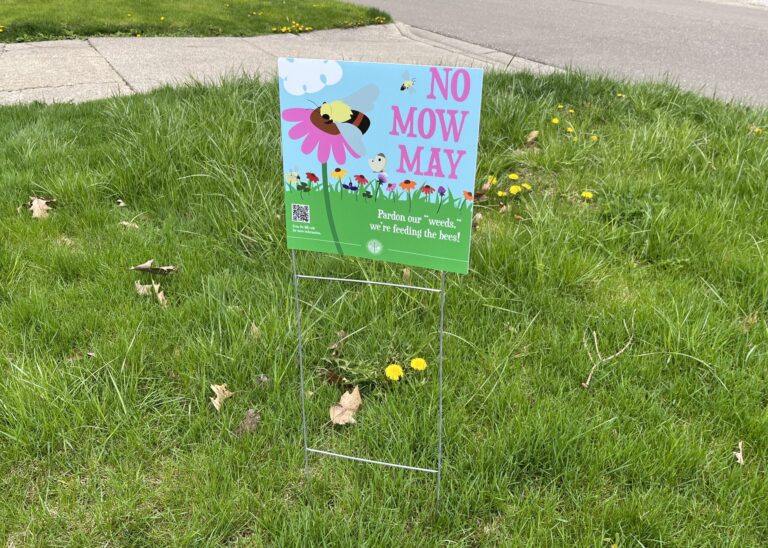 East Lansing Retires No Mow May, Will Instead Promote Native Landscapes