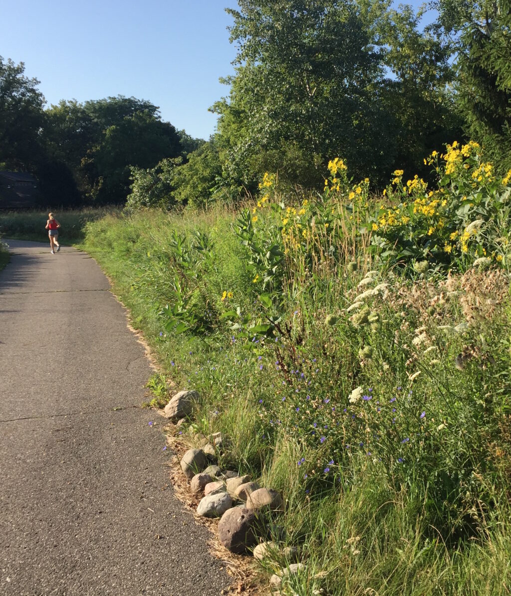 Know the Ballot: County Trails and Parks Millage Renewal to be Decided in August
