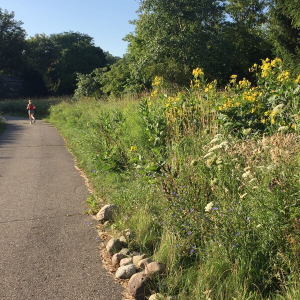 Know the Ballot: County Trails and Parks Millage Renewal to be Decided in August
