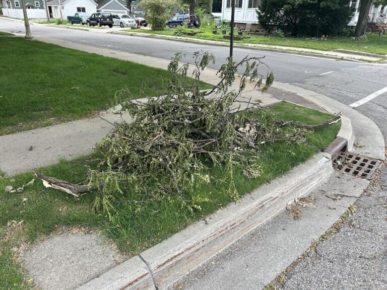 A Week of Extreme Heat Fueled East Lansing’s July 3 Storm